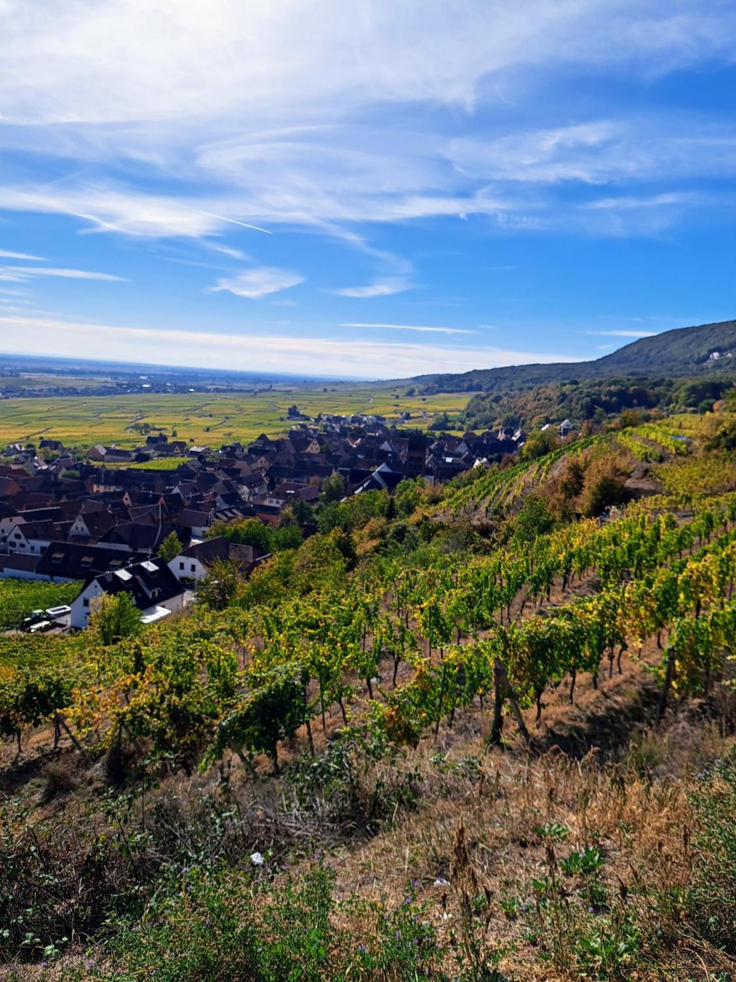 Grand Gite Dans Maison Alsacienne Historique Gueberschwihr ภายนอก รูปภาพ