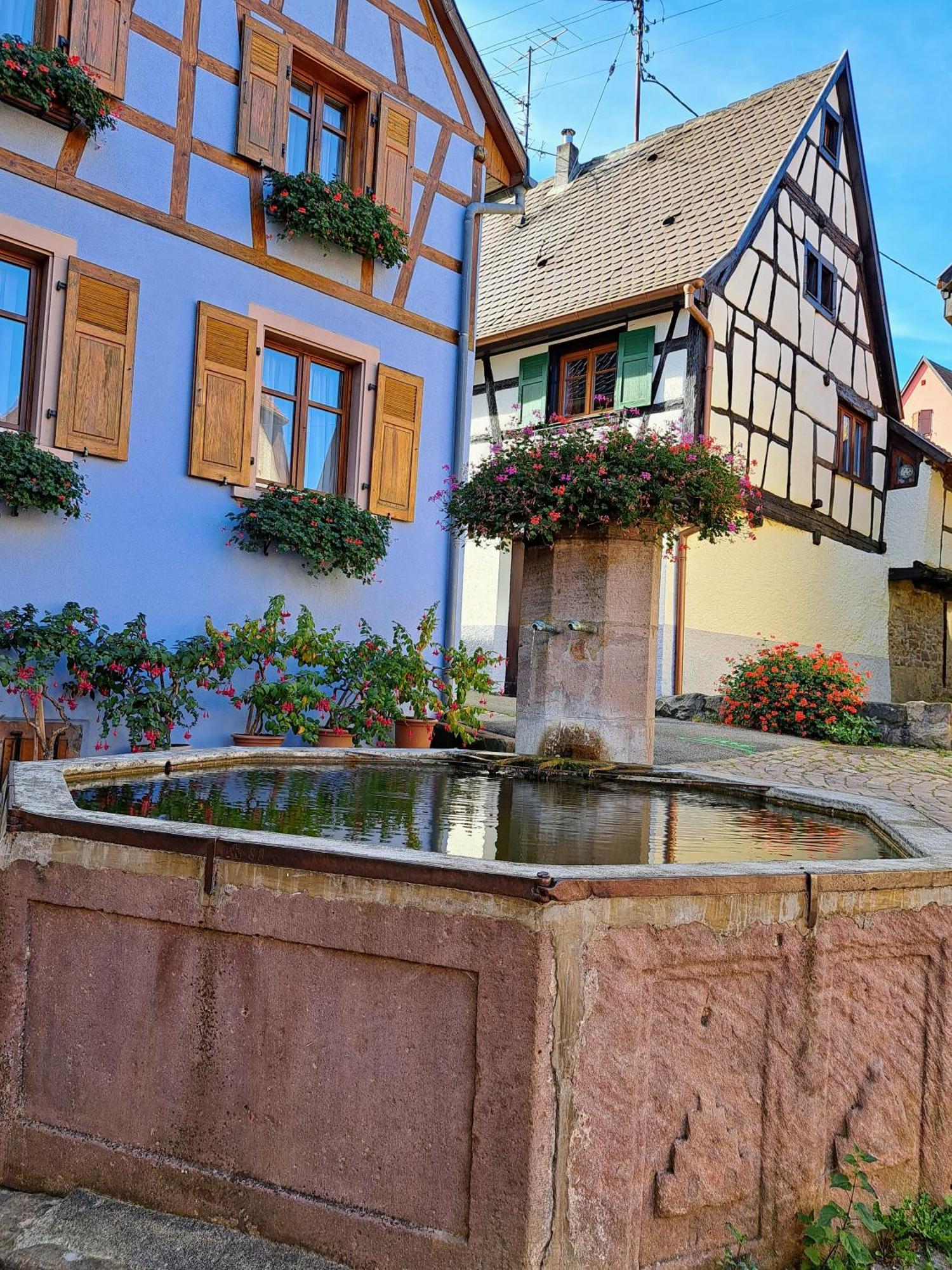 Grand Gite Dans Maison Alsacienne Historique Gueberschwihr ภายนอก รูปภาพ